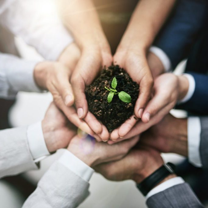 Generating growth by joining forces Cropped shot of a team of colleagues holding a plant growing out of soil
